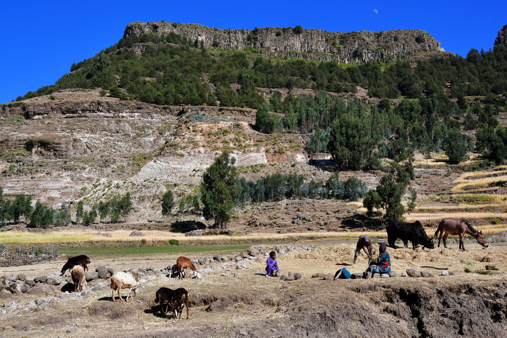 Lalibela-Asheten Mariam